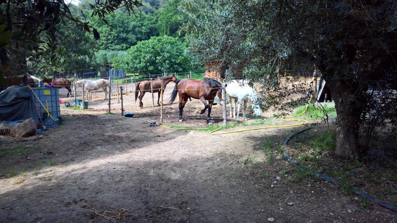 Baie Des Anges Appartement Bis Villeneuve-Loubet Luaran gambar