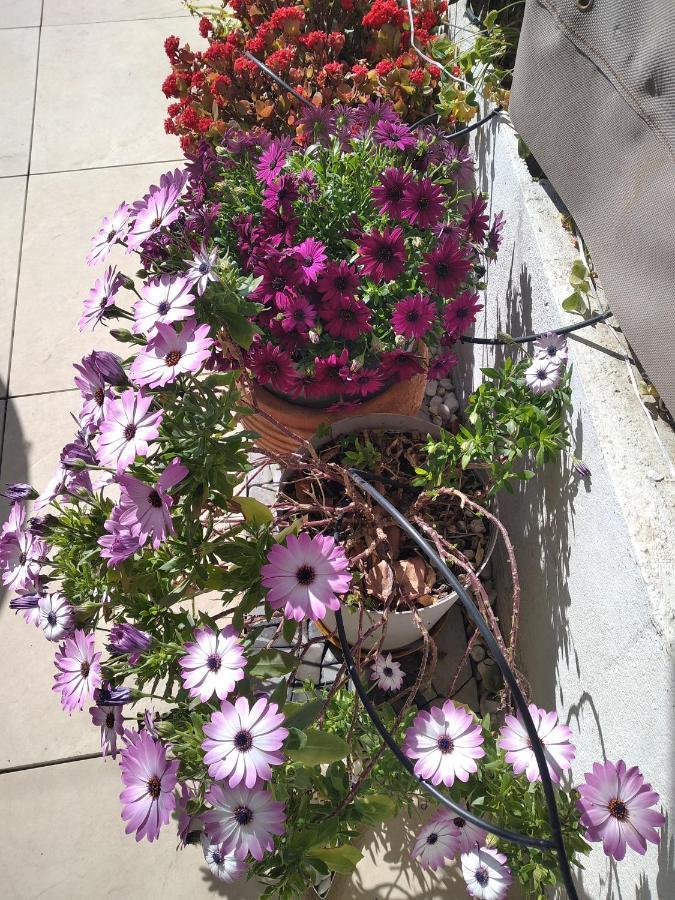 Baie Des Anges Appartement Bis Villeneuve-Loubet Luaran gambar